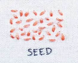 seed-stitch