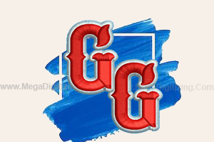 embroidery-digitizing-3d-puff